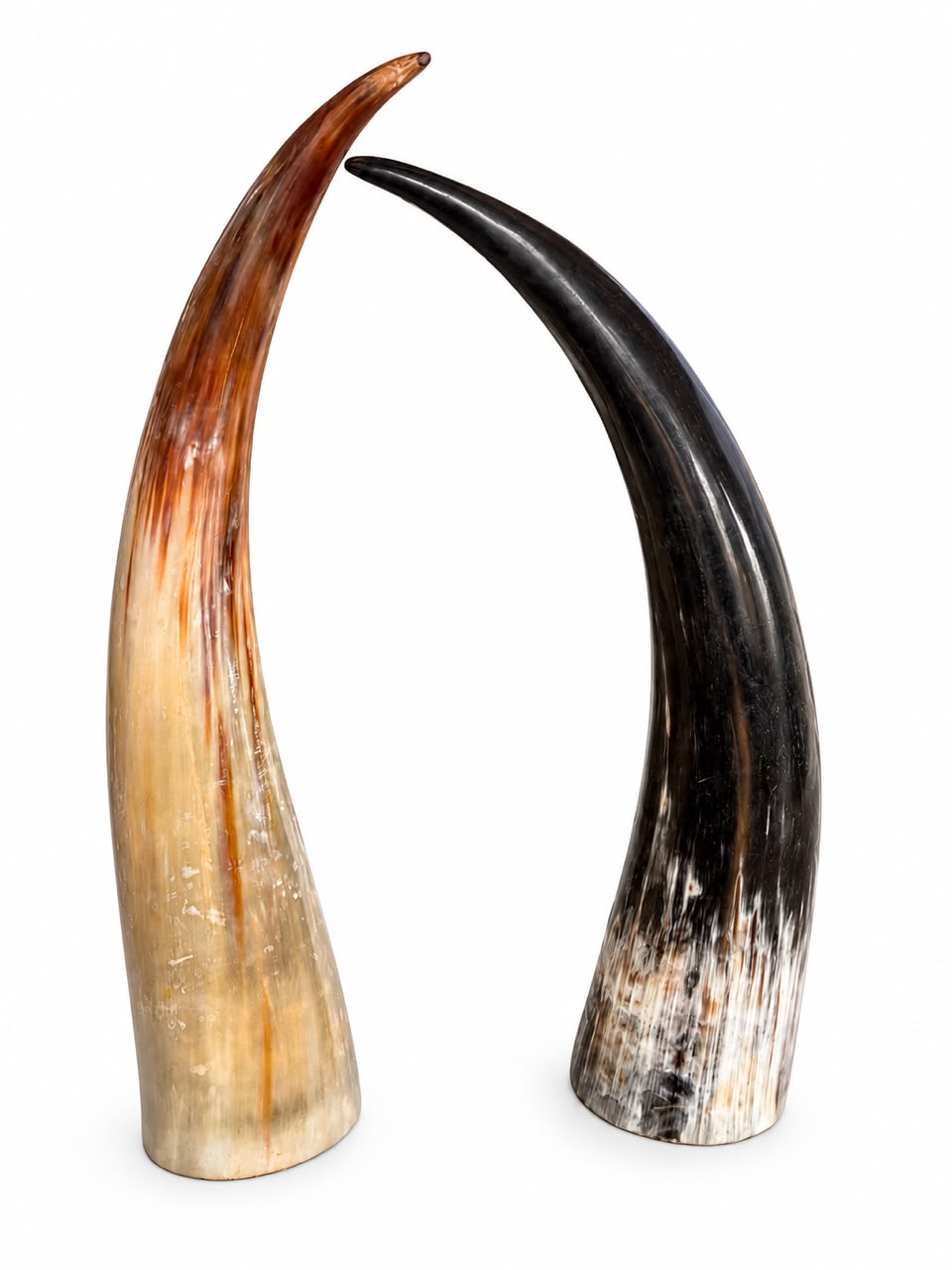 Horns