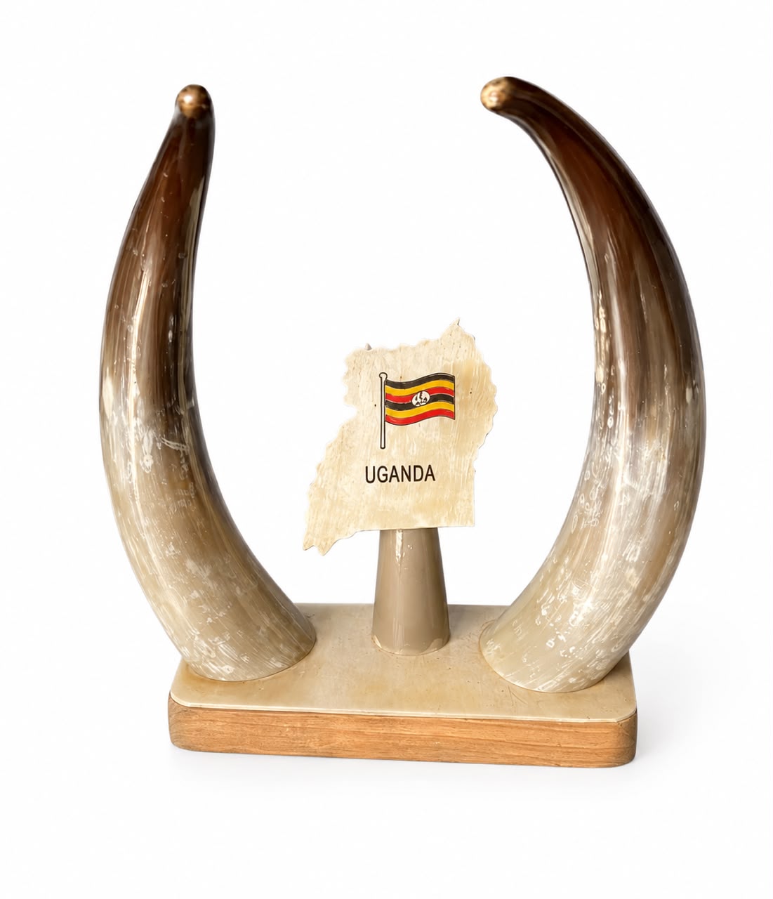 Cow horns