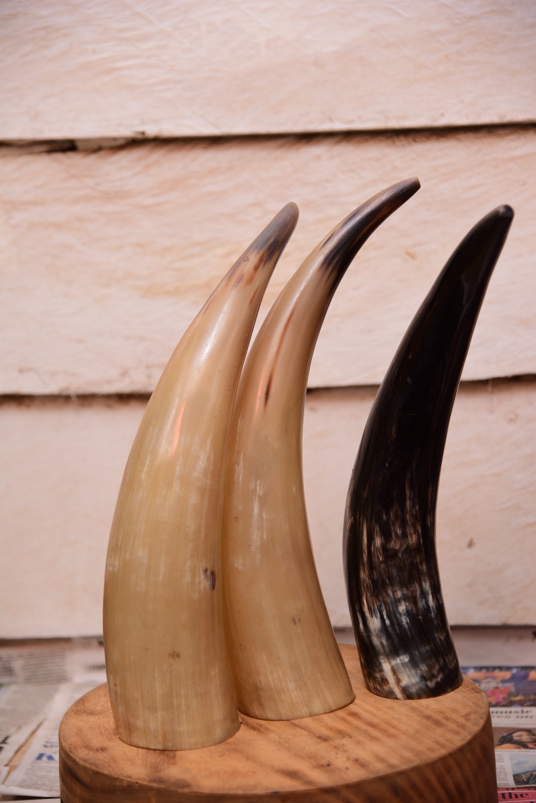 Ankole Royal Horn Sculpture