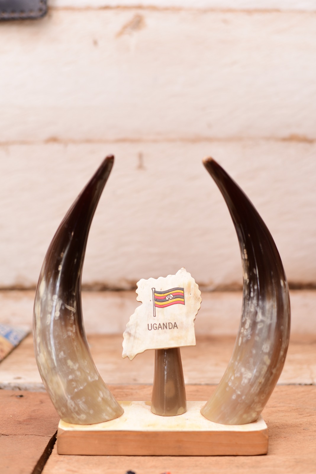 The Pearl of Africa Sculptural Ankole Horn Desk Accent