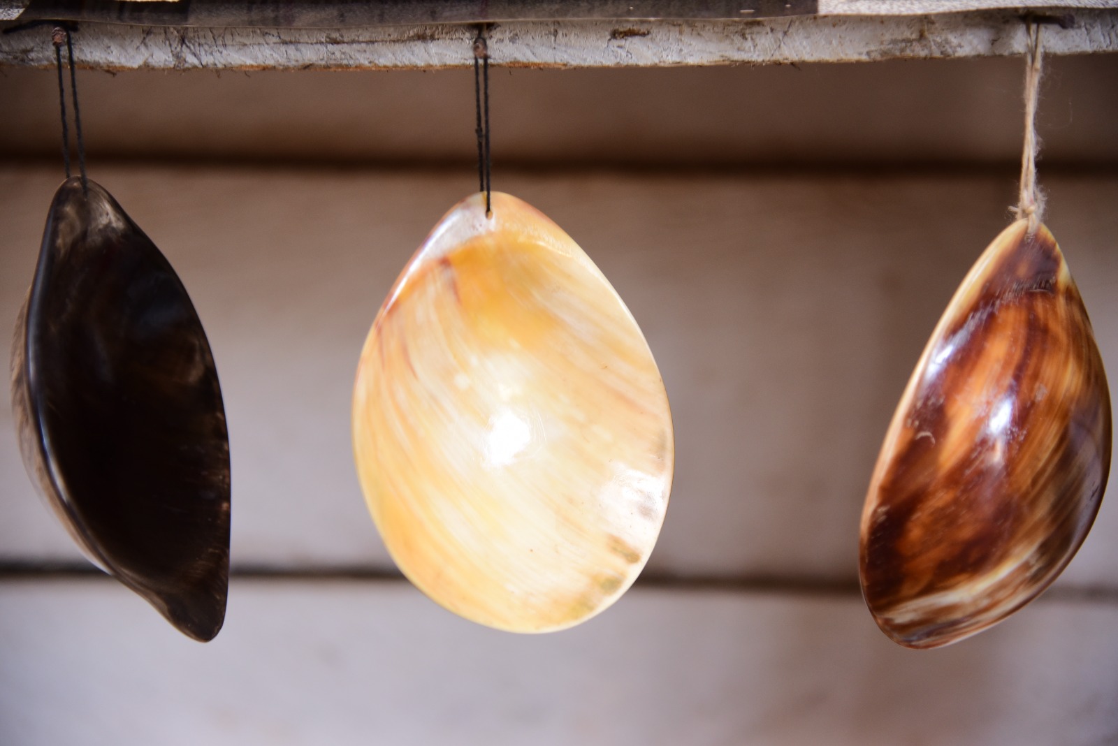 Sculptural Horn Catchall Dishes